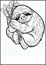 Sloths - Animals3