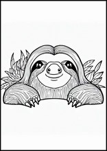 Sloths - Animals4