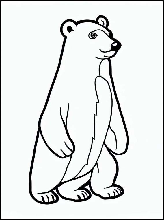 Isbjørn - Dyr 1