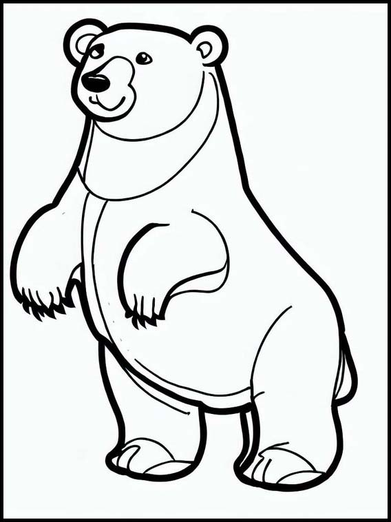 Ursos-polares - Animais 2