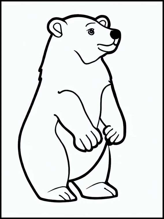 Ursos-polares - Animais 3