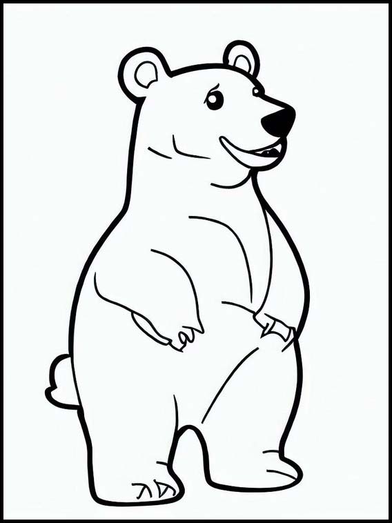 Isbjørn - Dyr 4