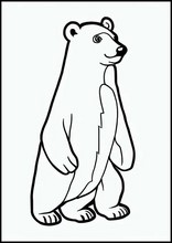Ursos-polares - Animais1