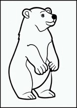 Ursos-polares - Animais3