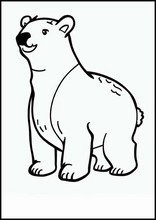 Ursos-polares - Animais5