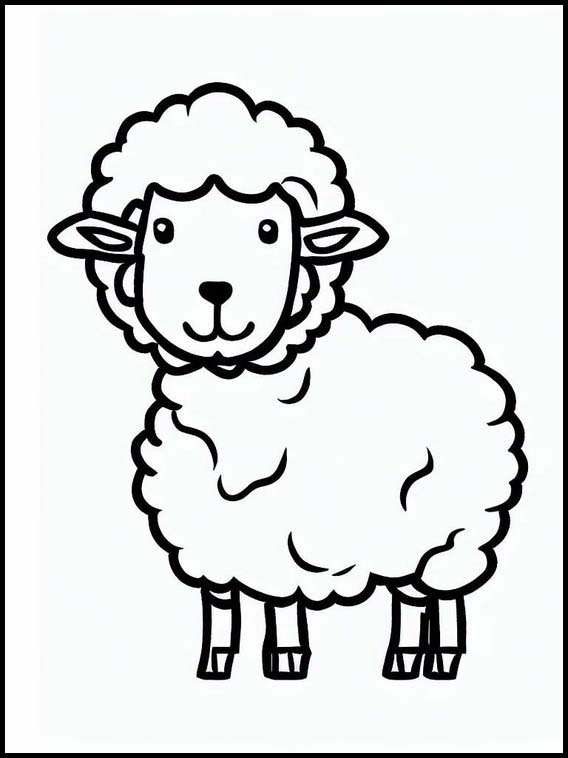 Schafe - Tiere 1