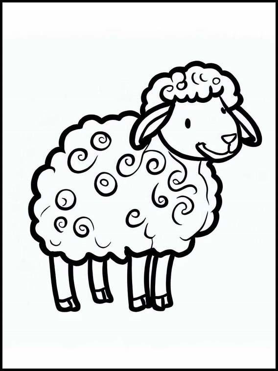 Schafe - Tiere 2