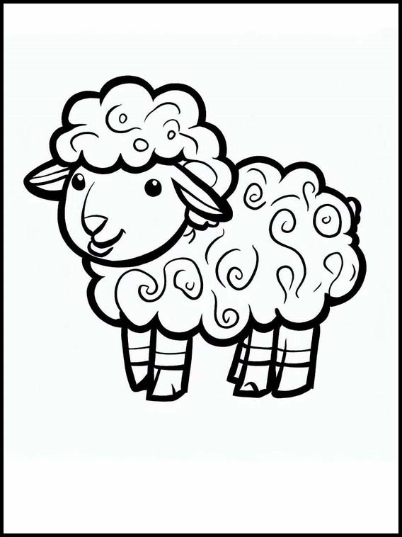 Schafe - Tiere 3