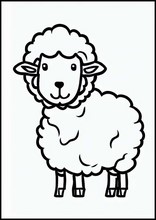 Pecore - Animali1