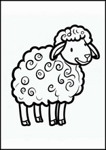 Овцы - Животные2