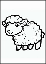 Pecore - Animali4