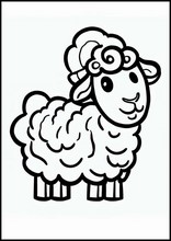 Овцы - Животные5