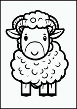 Овцы - Животные6