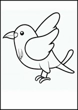 Птицы - Животные3