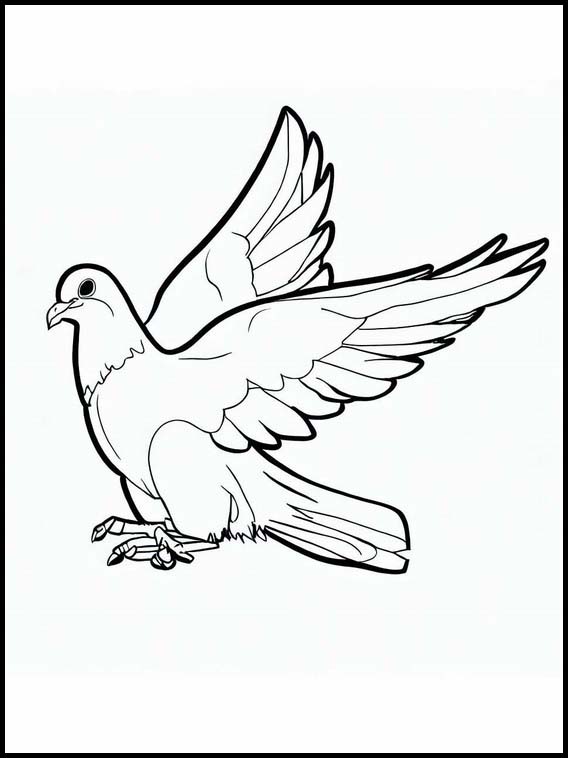 Printable Coloring Pages Pigeons - Animals 5