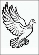Pigeons - Animaux1