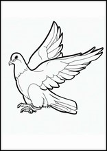 Tauben - Tiere5