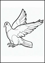 鴿子5