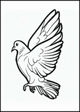Pigeons - Animals6