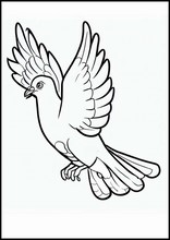 Pigeons - Animals8