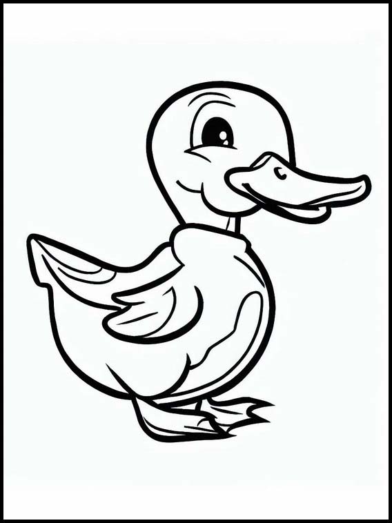 Ducks - Animals 4