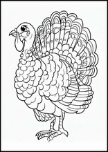 Turkeys - Animals1