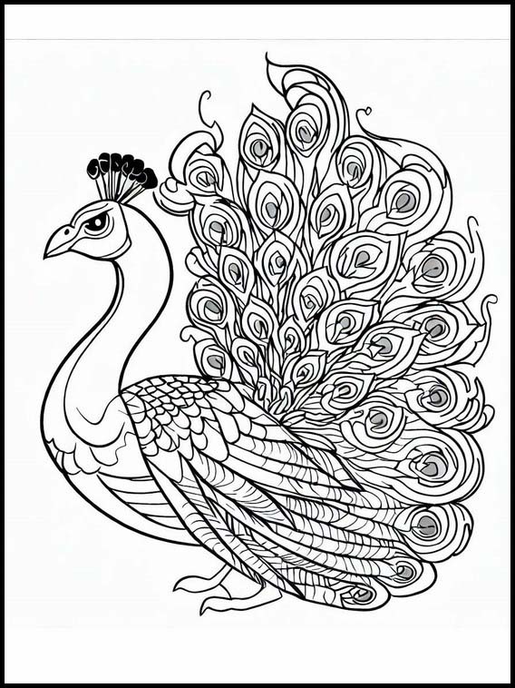 Peacocks - Animals 1