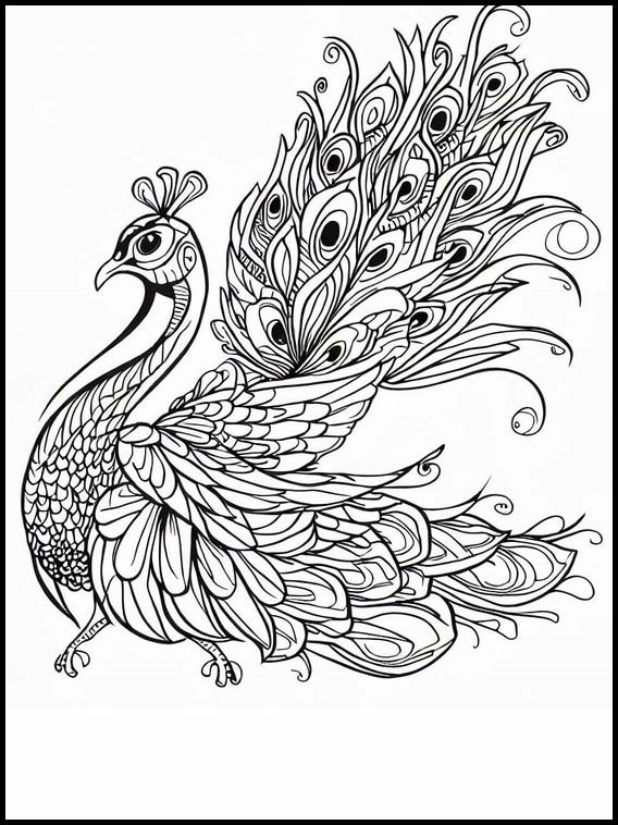 Peacocks - Animals 2