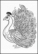 Peacocks - Animals1