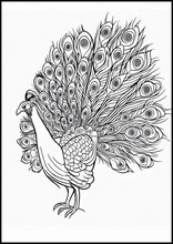 Peacocks - Animals3
