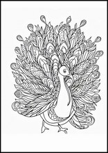 Peacocks - Animals5