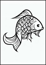 Fish - Animals5