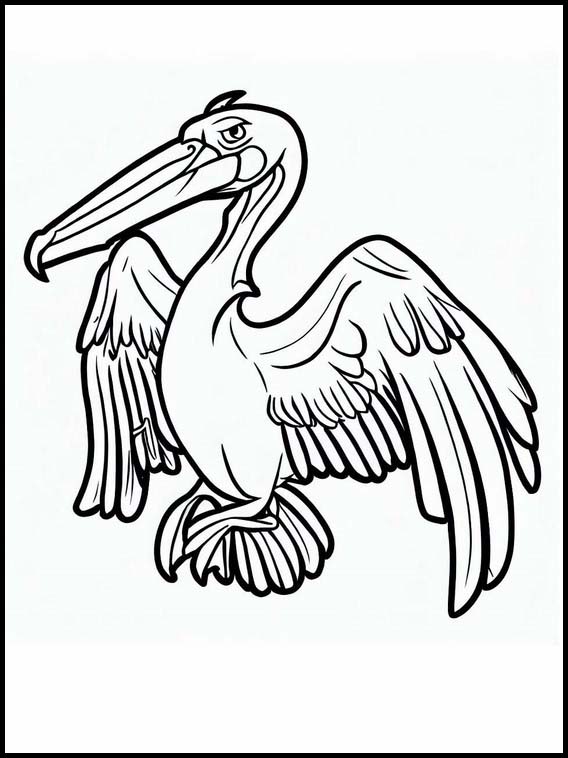 Pelicanos - Animales 1