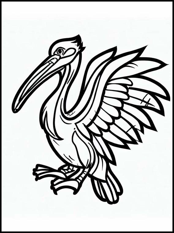Pelikanen - Dieren 3