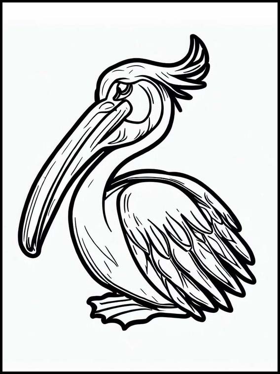 Pelicanos - Animais 4