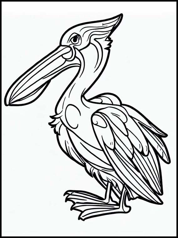 Pelicanos - Animais 6