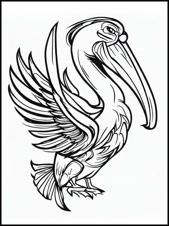 Pelikanen - Dieren 7