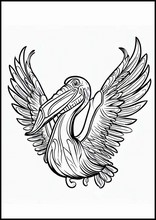 Pelikaner - Dyr2