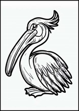Pelicans - Animals4