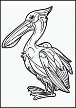 Pelikan - Dyr6