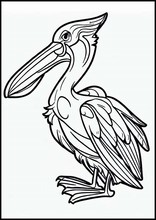 鵜鶘6