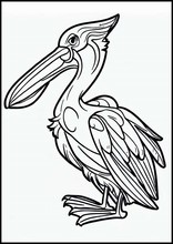 Pelicanos - Animales6