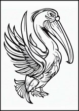 Pelikanen - Dieren7