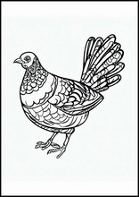 Partridges - Animals2