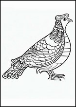 Partridges - Animals3
