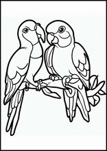 Хвалісты папугай - Животные1