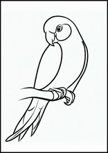 Хвалісты папугай - Животные3