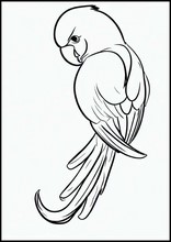 Pappagallini - Animali4