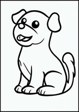 狗6