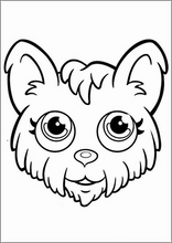 Pet Parade1